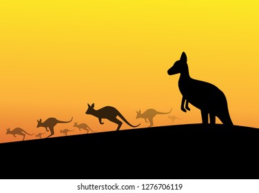 Group of kangaroos in desert, silhouette vector