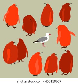 Group of king penguin chicks and seagull