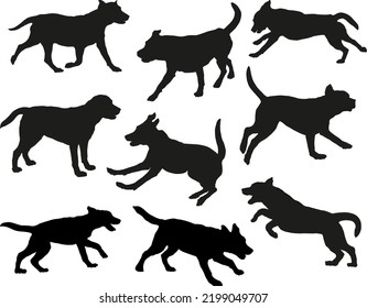 Gruppe der Labrador Retrievers in verschiedenen Posen. Hundesilhouette. Rennen, Stehen, schnüffeln, springende Hunde. Einzeln auf weißem Hintergrund. Haustiere. Vektorgrafik.