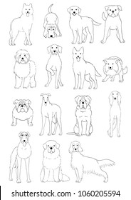 group of large and middle dogs breeds hand drawn