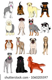 group of large and middle dogs breeds hand drawn