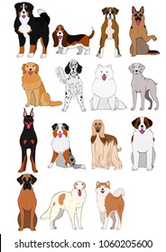 group of large and middle dogs breeds hand drawn