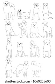 group of large and middle dogs breeds hand drawn