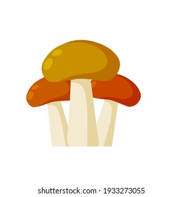 Group of Large mushroom with a brown cap. Natural cep. Food ingredient. Autumn harvest. Flat cartoon illustration