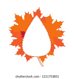 Group of leaves and a silhouette of a leaf. Vector illustration design