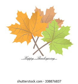 Group of leaves and text on a white background for thanksgiving day