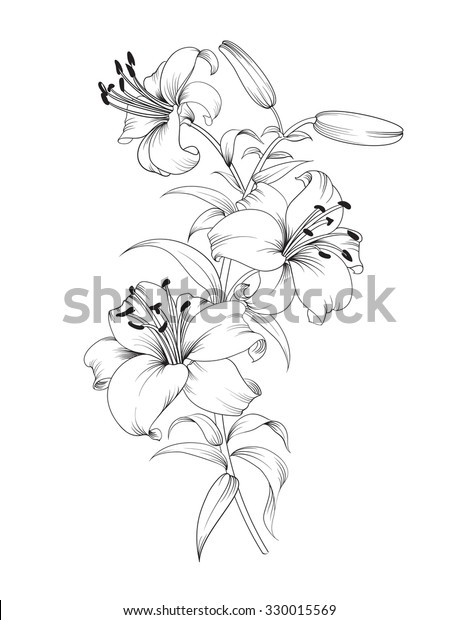 ユリの花のグループ 白い背景に花柄の背景に花を付けたユリ ベクターイラスト のベクター画像素材 ロイヤリティフリー