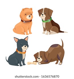 group of little dogs animals vector illustration design