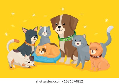 group of little dogs and cats vector illustration design