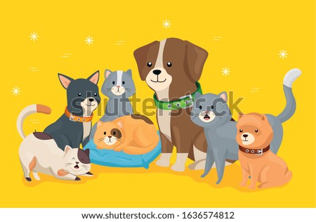 group of little dogs and cats vector illustration design