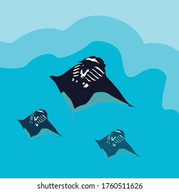 group of manta stingray in deep sea