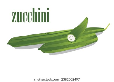 Grupo de Esquash de Médula o médula vegetal. Corgette o médula. Calabaza veraniega. Cucurbita pepo. Cucurbitaceae. Frutas y verduras. Ilustración del vector