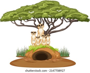 Group of meerkats with burrow in cartoon style illustration
