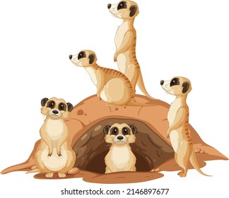 Group meerkats and burrow white background illustration