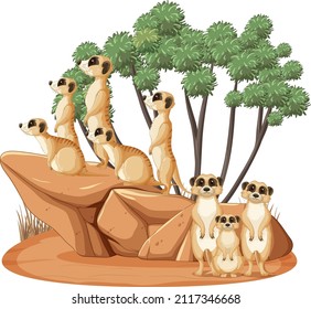Group meerkats in cartoon style illustration