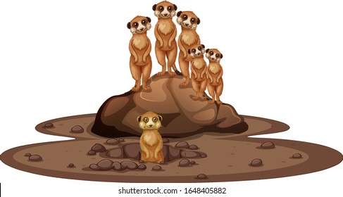 Group meerkats smiling the rock illustration