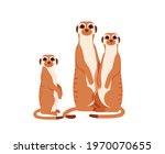 Group of meerkats. Vector illustration.