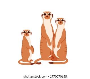 Group of meerkats. Vector illustration.