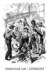 Group of men cutting open shark on ship, vintage line drawing or engraving illustration