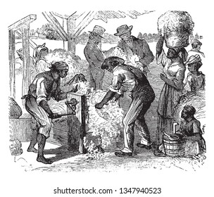 Group of men and women working with cotton gin machine, vintage line drawing or engraving illustration