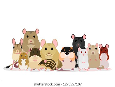 group of mice