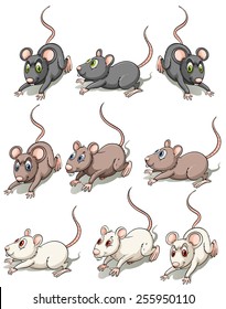 A group of mice on a white background