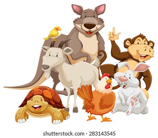 Group of mix wild animals smiling