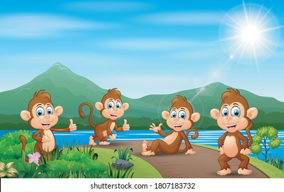 Group of monkey enjoying nature on road
