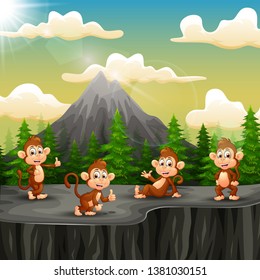 A group of monkey sitting on the cliff