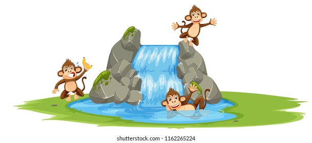 Group of monkey at the water illustration