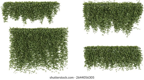 Group of Mucuna plants isolated on transparent background