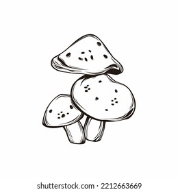 Group of mushroom illustration vector for vegetable assets, nature, educations, print, and more