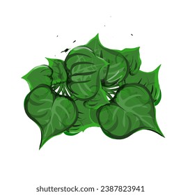 a group of ornamental plant leaves, without a background