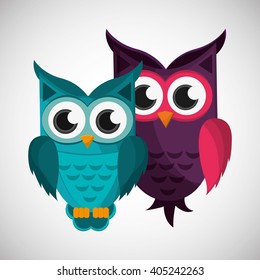 Group of owls, vector illustration, graphic design