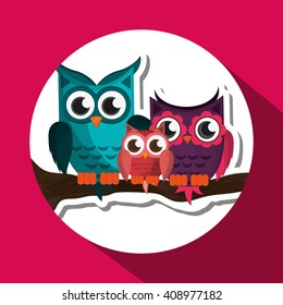 Group of owls, vector illustration, graphic design, animal represent knowledge