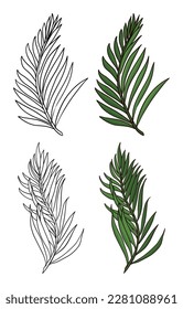 Group of palm branches in two versions: one in outlines for coloring and the other in green colors and cartoon style.