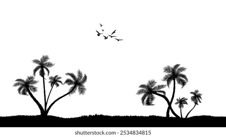 A group of palm tree silhouettes isolated black and white tone 