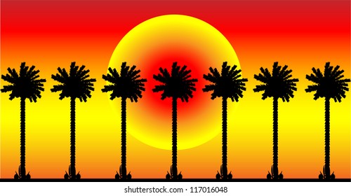Group of palm trees on at sunset background.