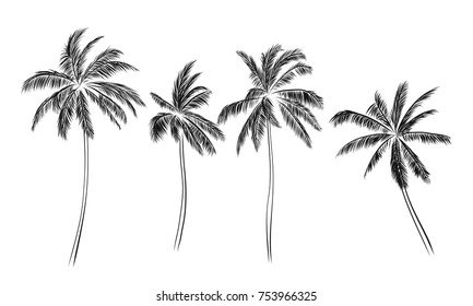 Group of palm trees vector silhouettes