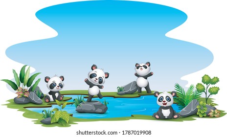 Group of panda in the pond