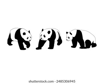Group of Panda Silhouette isolated white background. Vector Illustration