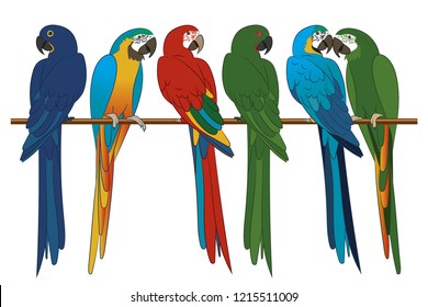 Group parrots on the branch. Colored macaws. Vector illustration on white background.