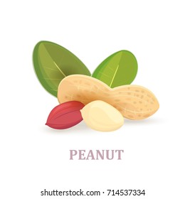 group of peanuts with leaves on white background for your design