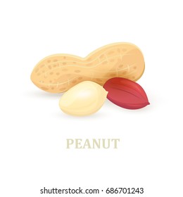 group of peanuts on white background for your design