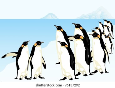 Group of penguins standing on an ice floe in the middle of the Arctic Ocean.