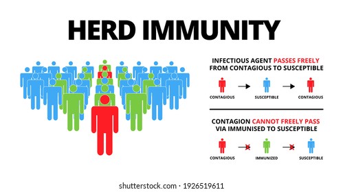 Group of people with Herd immunity text. Concept of herd immunity or a group of people who are infected with the infected person as a virus spread in society.Vector illustration.Flat style infographic.