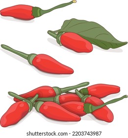 Group of Peri peri chili peppers. Piri Piri. Piripiri. Pili pili. Bird's eye peppers. Siling labuyo. Vegetables. Cartoon style. Vector illustration isolated on white background.