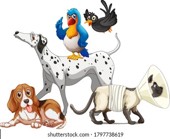 Group of pet on white background illustration
