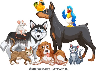 Group of pet on white background illustration