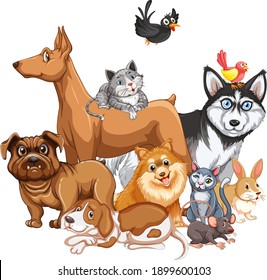 Group of pet on white background illustration
